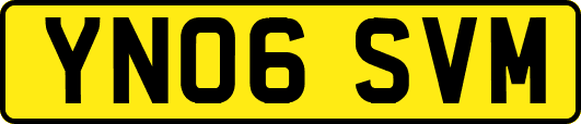 YN06SVM