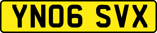 YN06SVX