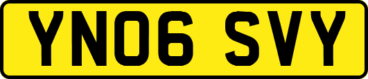 YN06SVY