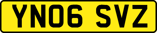 YN06SVZ