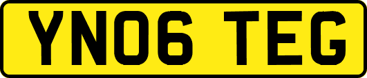 YN06TEG