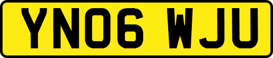 YN06WJU