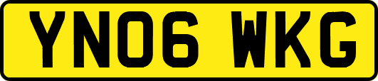 YN06WKG
