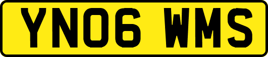 YN06WMS