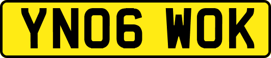 YN06WOK