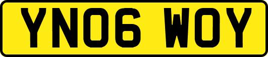 YN06WOY