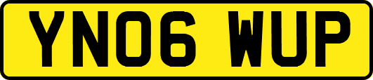 YN06WUP