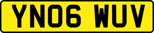 YN06WUV