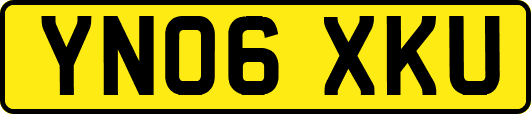 YN06XKU