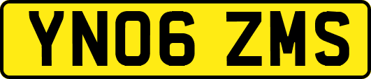 YN06ZMS