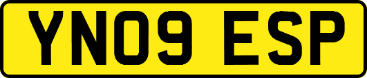 YN09ESP