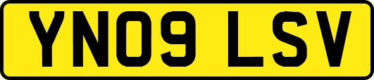 YN09LSV