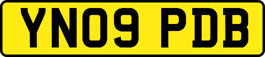 YN09PDB