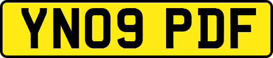 YN09PDF
