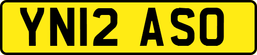 YN12ASO
