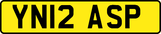 YN12ASP