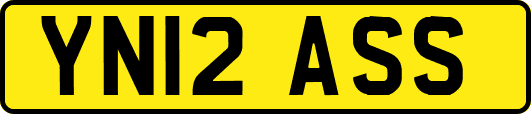 YN12ASS