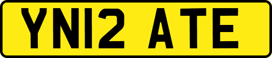 YN12ATE