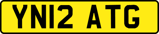 YN12ATG