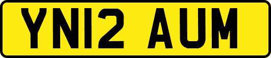 YN12AUM