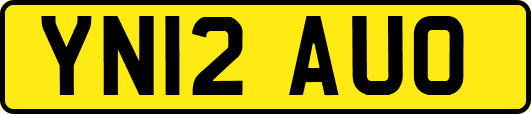YN12AUO