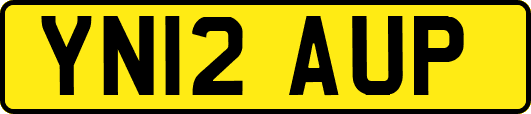 YN12AUP