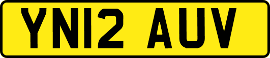 YN12AUV