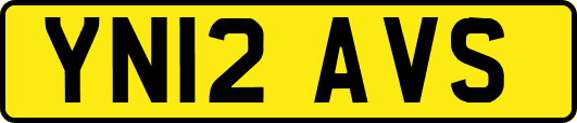 YN12AVS
