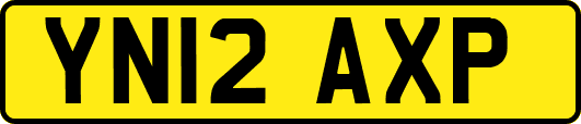 YN12AXP