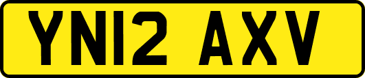YN12AXV