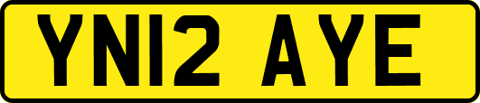 YN12AYE