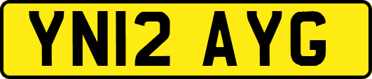 YN12AYG