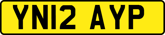 YN12AYP
