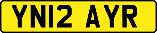 YN12AYR