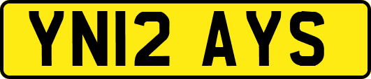 YN12AYS