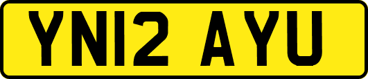 YN12AYU
