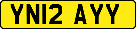 YN12AYY