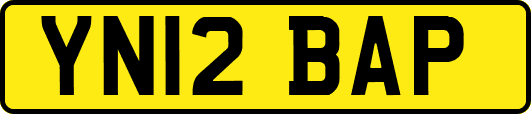 YN12BAP