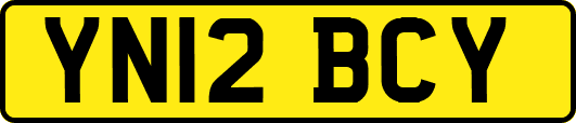 YN12BCY