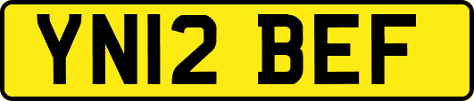 YN12BEF