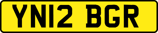 YN12BGR