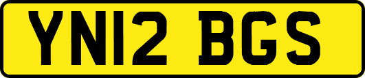 YN12BGS