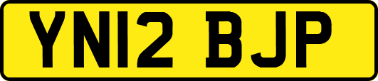 YN12BJP