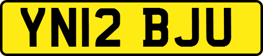 YN12BJU