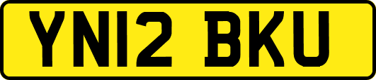 YN12BKU