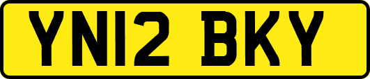 YN12BKY