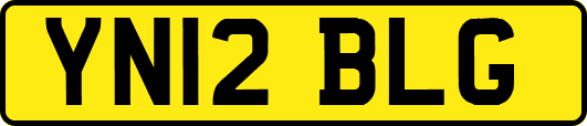 YN12BLG