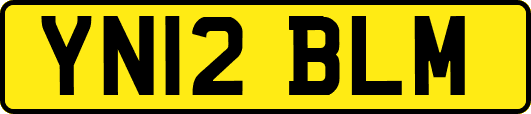 YN12BLM