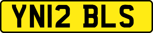 YN12BLS
