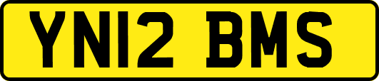 YN12BMS